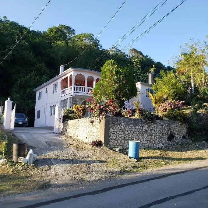 Andeve'S Tranquil Beautiful Home Montego Bay 0*,  Jamajka